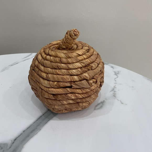 Target Threshold Pumpkins - Picture 2 of 2